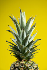 One fresh ripe pineapple fruit on a yellow background