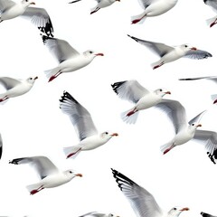 Obraz premium [seamless]Seagulls in Flight Seamless Pattern