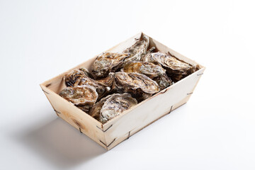 Fresh Oysters in wooden box 24 unit