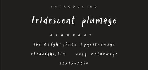 Vector brush style font, alphabet, and typeface