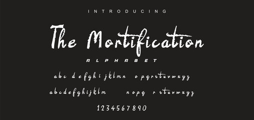 Vector brush style font, alphabet, and typeface