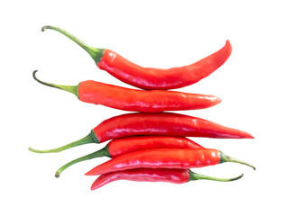 Fresh red chili isolated on white background