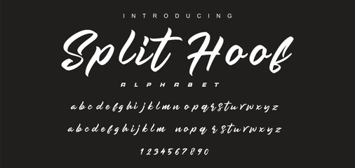 Handwritten Brush font for lettering quotes. Hand drawn brush style modern calligraphy.