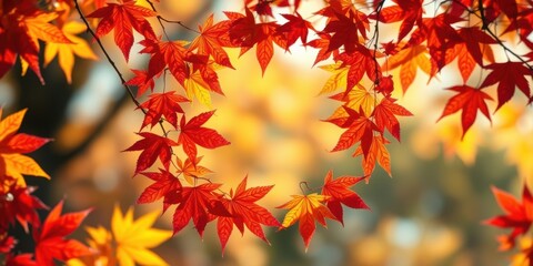 Fototapeta premium A Heart Shaped Frame of Vibrant Red and Yellow Autumn Leaves on a Blurry Background