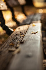 A close-up of a weathered wooden bench with autumn leaves scattered on it, blurred background, warm sunlight, shallow depth of field, evokes a sense of nostalgia and tranquility.