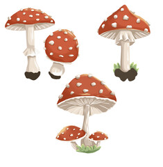 Set of hand-drawn fly agarics, mushrooms with a red cap and white dots