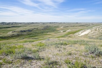 Expansive grassy landscape under bright blue sky, showcasing rol