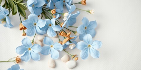 Delicate blue flowers scattered on a white background, their petals forming a graceful arrangement with small brown accents, creating a gentle and serene composition.