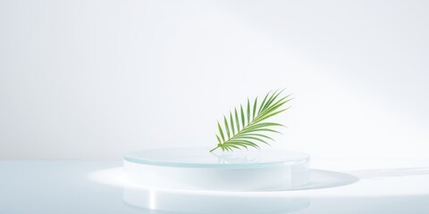 Minimalist Product Display with a Single Palm Leaf on a Glass Platform