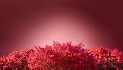crimson spring vegetation at pinnacle of pastel red heritage with empty replica space