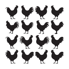 chicken silhouettes, set of chicken vector, silhouettes of hen chicken collection. silhouette chicken family