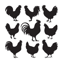 chicken silhouettes, set of chicken vector, silhouettes of hen chicken collection. silhouette chicken family © logodesign11