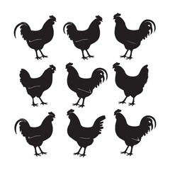 chicken silhouettes, set of chicken vector, silhouettes of hen chicken collection. silhouette chicken family