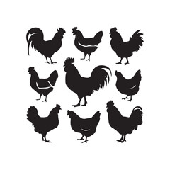 chicken silhouettes, set of chicken vector, silhouettes of hen chicken collection. silhouette chicken family