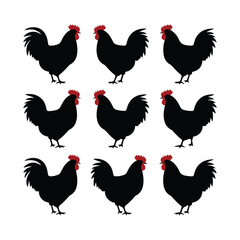 chicken silhouettes, set of chicken vector, silhouettes of hen chicken collection. silhouette chicken family