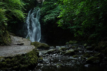 Fototapeta premium Waterfall