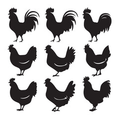 chicken silhouettes, set of chicken vector, silhouettes of hen chicken collection. silhouette chicken family