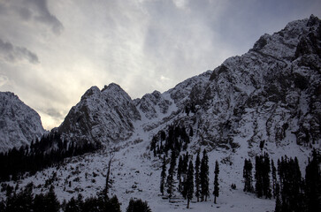 Snow-Covered Mountain Ridge with Dramatic Bright Sky and Tall Trees