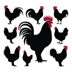 chicken silhouettes, set of chicken vector, silhouettes of hen chicken collection. silhouette chicken family