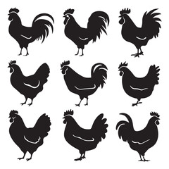 chicken silhouettes, set of chicken vector, silhouettes of hen chicken collection. silhouette chicken family
