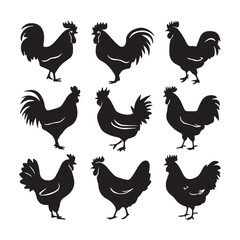 chicken silhouettes, set of chicken vector, silhouettes of hen chicken collection. silhouette chicken family