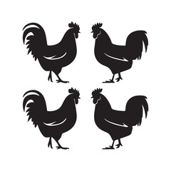 Chicken Silhouette, Vector EPS10 Illustration Vector black silhouette of a hen on a white background.