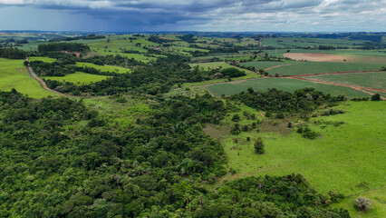 forest landscape aerial view