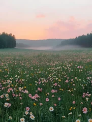 Selbstklebende Fototapeten A serene landscape featuring a vibrant meadow bursting with colorful wildflowers in pastel hues, framed by a misty forest at sunrise, creating a peaceful morning ambiance. © JOE'S SAFARI