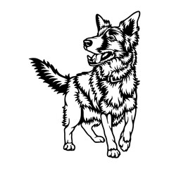 Border Collie Dog Breed - Pet Vector Cut file, Dog Silhouette Stencil - Cricut file