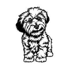 Maltese Lapdog Dog Breed - Pet Vector Cut file, Dog Silhouette Stencil - Cricut file