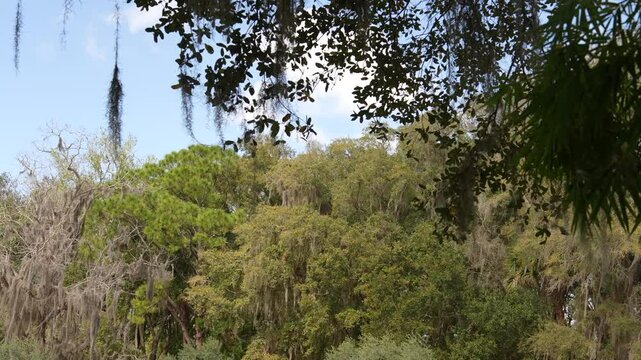 NewSmyrna_Sony23_1