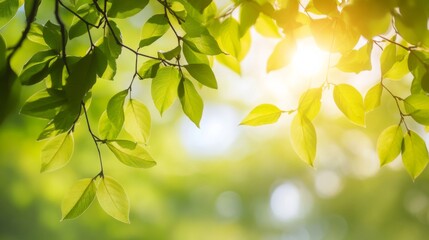 Obraz premium Bright Natural Background with Fresh Green Leaves