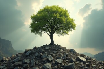 A symbolic image of a tree growing through rubble symbolizing hope