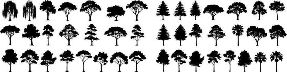 silhouette tree line drawing set, Side view, set of graphics trees elements outline symbol for architecture and landscape design drawing. Vector illustration in stroke fill in white. Tropical