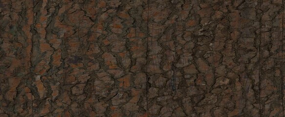 Dark wood background, old black wood texture for background