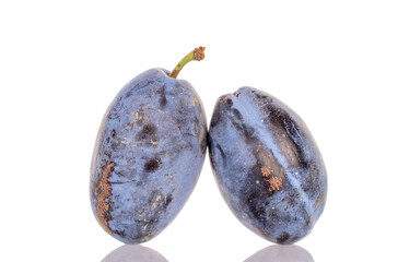 Two ripe black plums, macro, isolated on white background.
