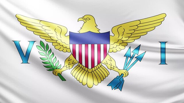Us virgin islands flag video, close-up shot of symbol of virgin island nation, america, animated flag background video, 3D video of a flag, national symbol of the people, patriotism, full screen