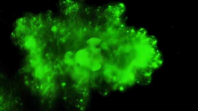 Realistic bad smell cloud with green vapors on a black background. Stink clouds of smoke, smog, and chemical stench gases. Animated green stink cloud isolated in a dark setting.