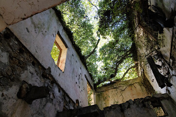 old, abandoned, overgrown, collapsed house on the island of Crete, Greece