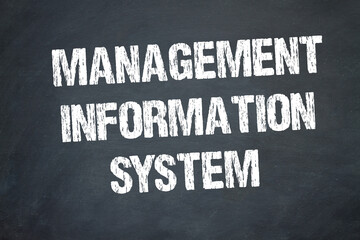 Management Information System   © magele-picture