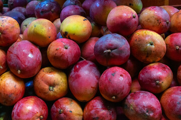 Display of ripe mangoes at an organic market