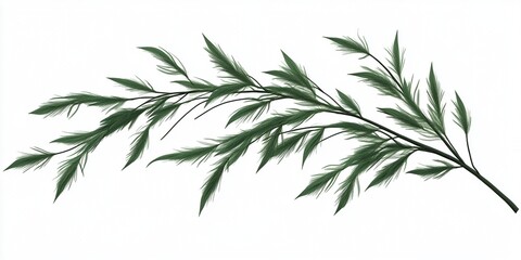 Obraz premium Lush Green Branch Sprig Foliage Botanical Nature Plant Leaves Greenery Isolated White Background