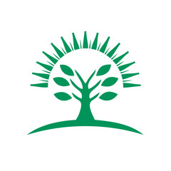 Obraz premium A radiant sun rising behind a tree with its roots visible below Isolated on transparent background