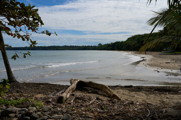 Cahuita, Costa Rica - November 16, 2024 - the Cahuita National Park - beach, forest and colorful marine life