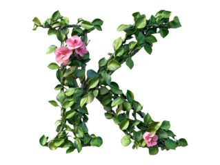 Letter K with Green Leaves and Pink Flowers on Transparent Background