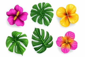 Obraz premium Vibrant Tropical Flowers and Leaves on White Background