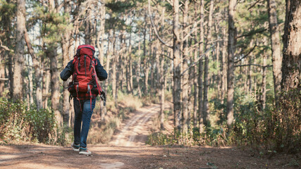 Obraz premium Travelers hiking through a forest with backpacks, exploring the wilderness and taking in the sights of nature as they walk.