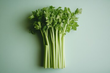 fresh celery stalks on a light green background