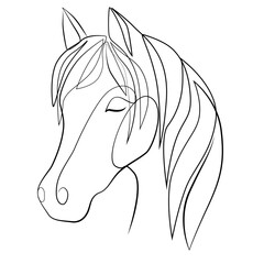 Horse head with a thick mane