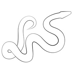 Snake one line drawing on white isolated background. 2025 Chinese New Year